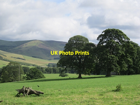 Photo 6"x4" Kailzie parkland Glentress\/NT2839 c2012