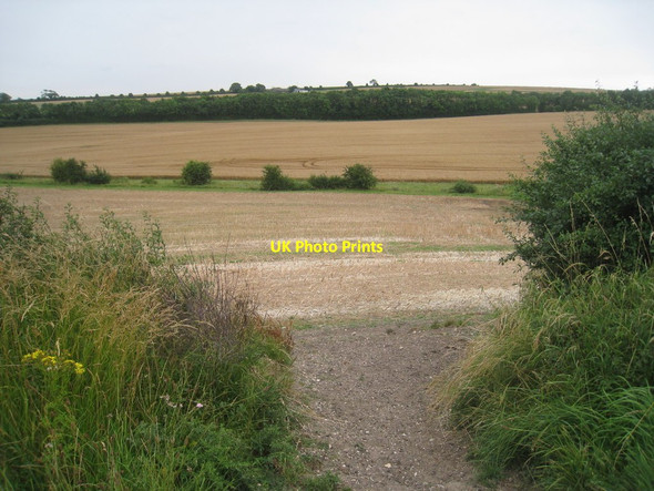 Photo 6"x4" View towards Brackens Farm Hallington\/TF3085 c2012