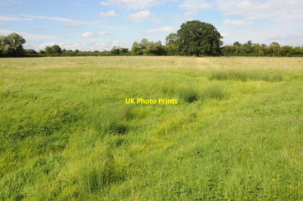 Photo 6"x4" Field at Corse Lawn Corse Lawn c2012