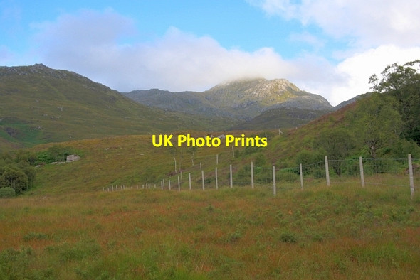 Photo 6"x4" New Fence Ardery c2012