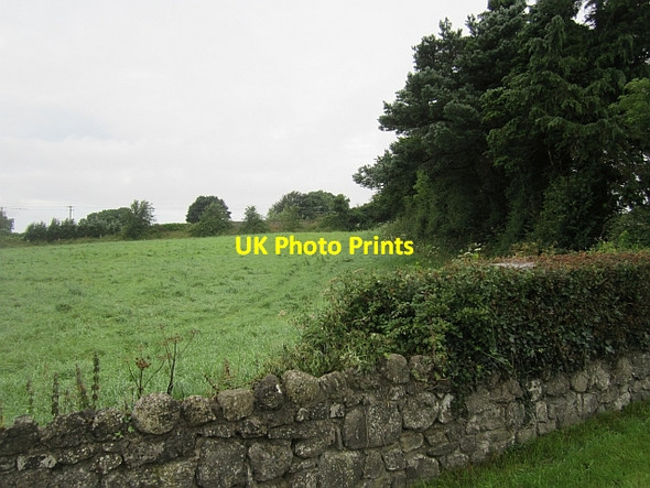 Photo 6"x4" Field, Glasson Glassan c2012
