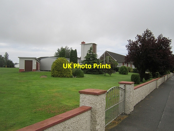 Photo 6"x4" Tubberclare National School The Pigeons c2012