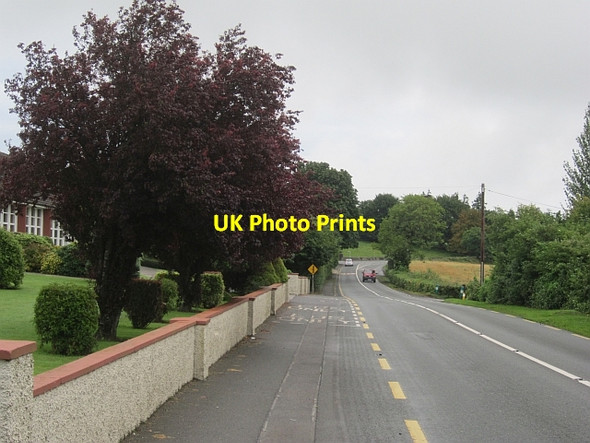 Photo 6"x4" N55, Tubberclair The Pigeons c2012