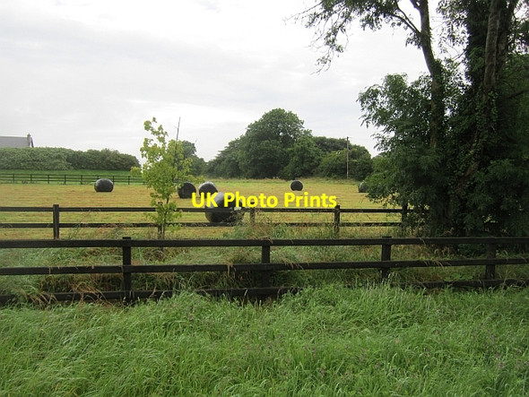 Photo 6"x4" Silage in a  field, Lissoy The Pigeons c2012