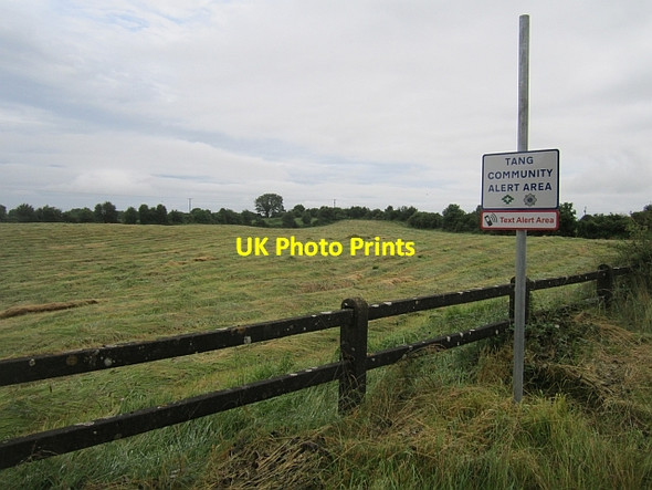 Photo 6"x4" Mown grass The Pigeons c2012