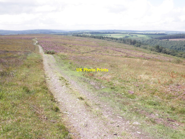 Photo 6"x4" Track, on Haddon Hill Hartford\/SS9529 c2012