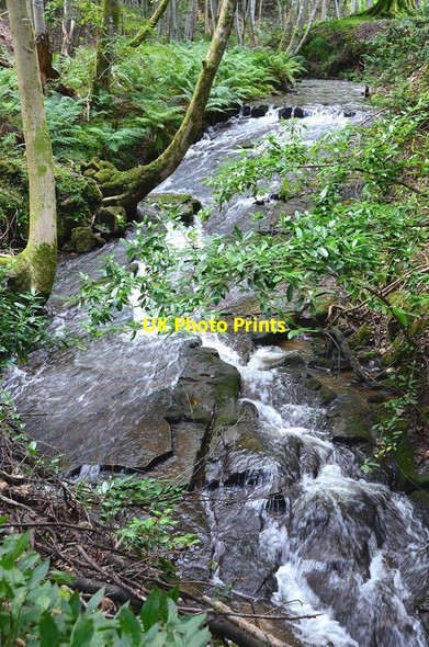 Photo 6"x4" Purvies Hill Burn, Arniston Estate Carrington\/NT3160 c2012