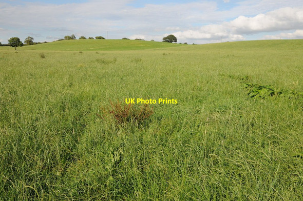 Photo 6"x4" Farmland near Nashend Farm Linkend c2012