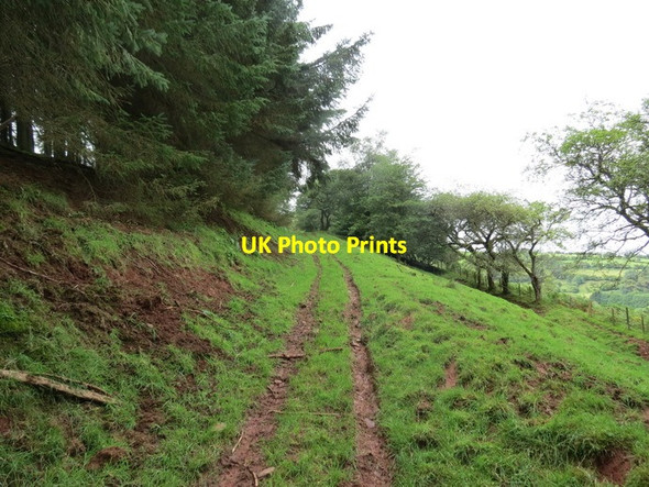 Photo 6"x4" Llwybr ceffyl Pentrebach \/ Pentrebach bridleway Pentre-bach\/SN9033 c2012
