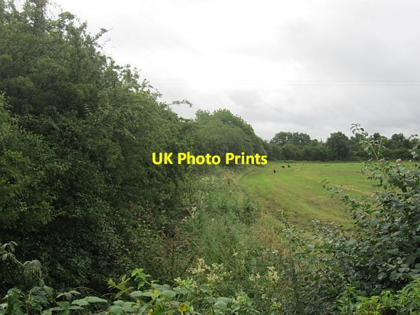 Photo 6"x4" After the silage has been taken in Tang\/N1353 c2012