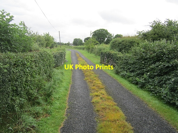 Photo 6"x4" A minor road near Tang Tang\/N1353 c2012