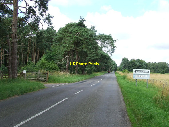 Photo 6"x4" Nature Reserve Hockwold cum Wilton c2012