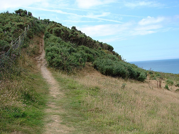 Photo 6"x4" The Ceredigion Coastal Path Aberaeron c2006