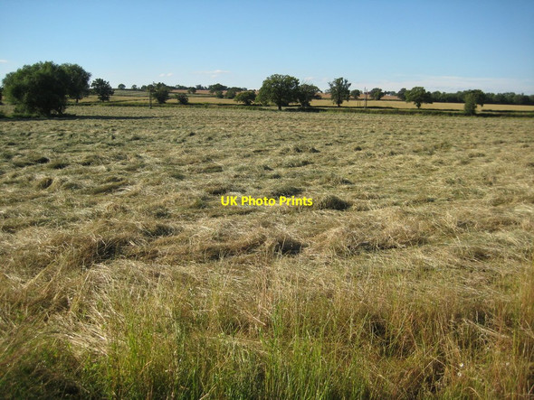 Photo 6"x4" Haymaking in Earl's Croome Earl's Croome c2012