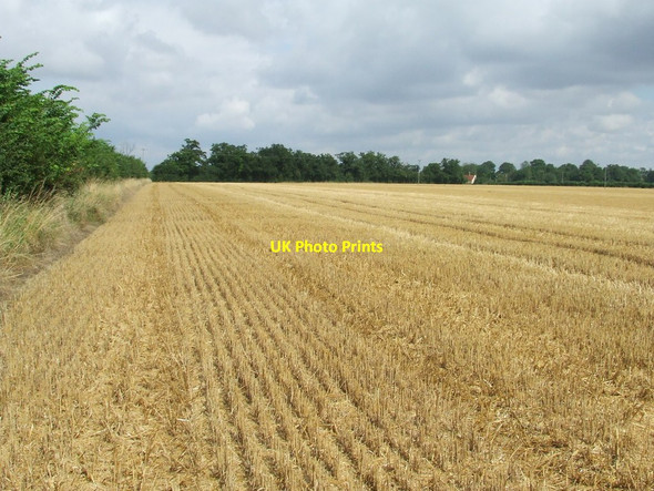 Photo 6"x4" The Harvest Is In Helmingham c2012