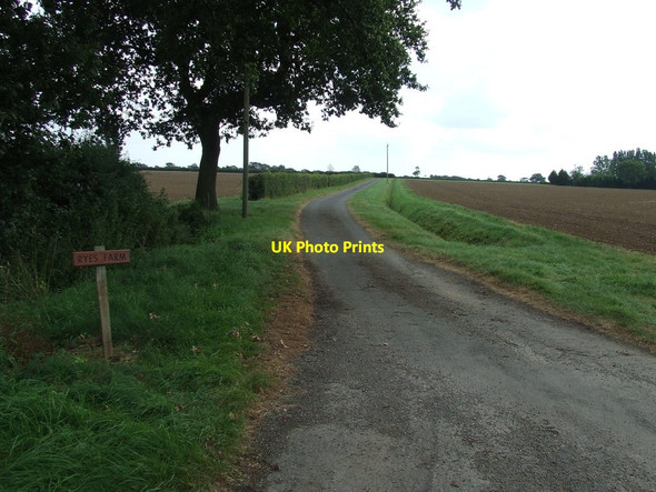 Photo 6"x4" Road To Ryes Farm Crowfield\/TM1457 c2012