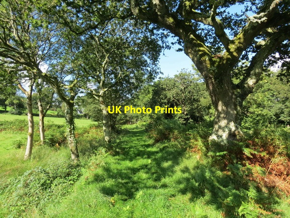 Photo 6"x4" Llwybr Maes y Gwaelod Path Blue Anchor\/SS5495 c2012