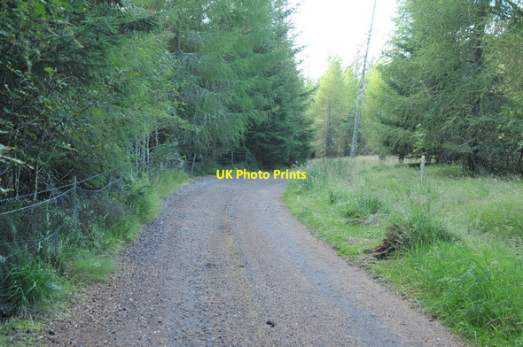Photo 6"x4" Gravel road at Easter Brylack Woodside\/NJ0555 c2012
