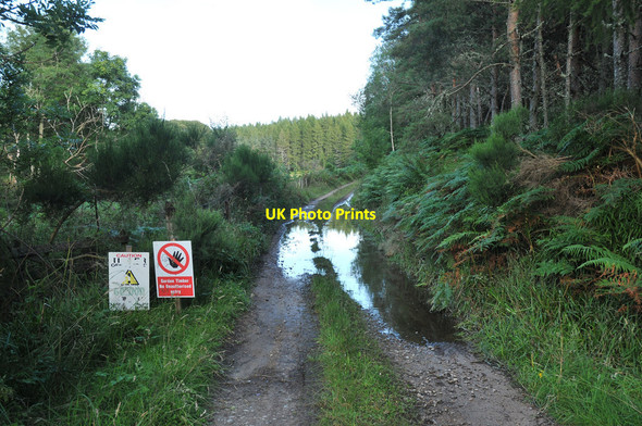 Photo 6"x4" Forestry road past Annie Paul's Wood Logie\/NJ0150 c2012