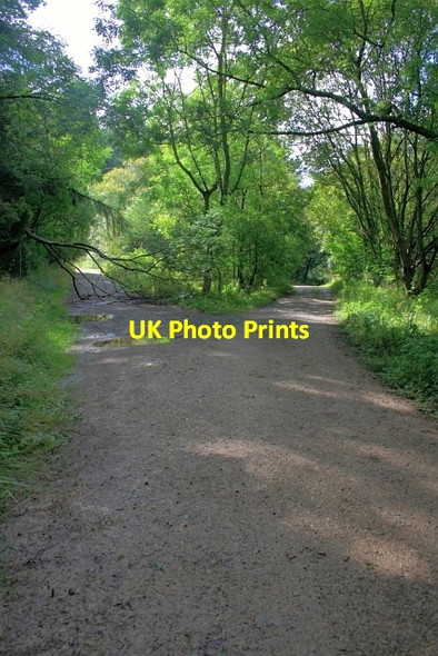 Photo 6"x4" Track Junction, Troutsdale Brow Trouts Dale c2012