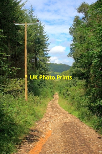 Photo 6"x4" Track, Troutsdale Brow Trouts Dale c2012