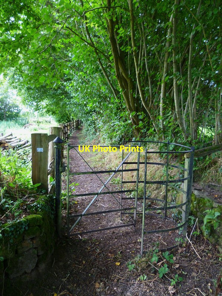 Photo 6"x4" Kissing gate on footpath near Linchmere Haslemere c2012