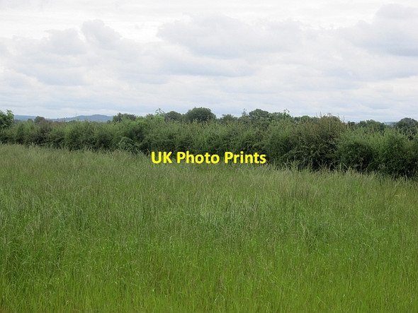 Photo 6"x4" Long grass Street\/N3370 c2012