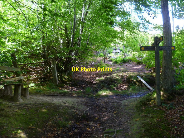 Photo 6"x4" Paths cross in Crab Copse Fernhurst c2012