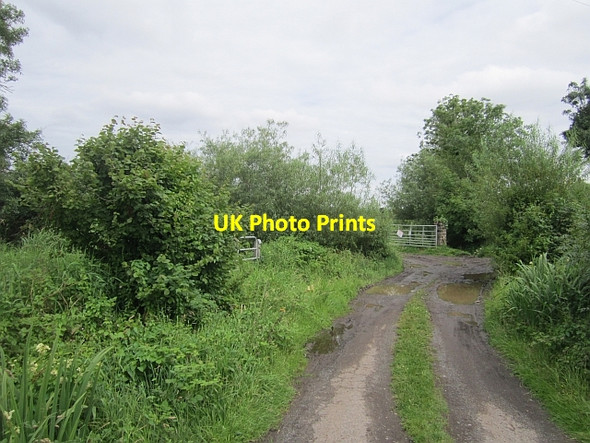 Photo 6"x4" Bog road, Kilshallow Lismacaffry c2012