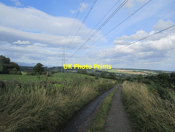 Photo 6"x4" Power line, Barnego Denny c2012
