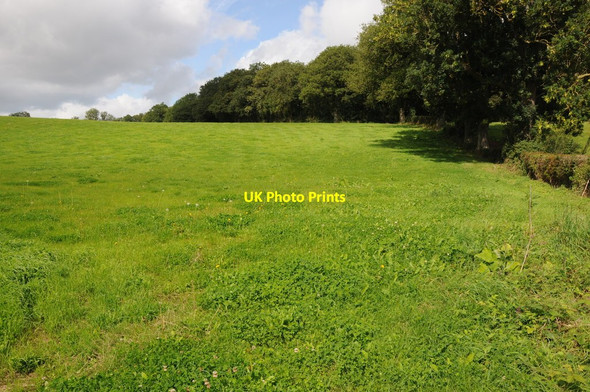 Photo 6"x4" Ruckhall Wood Breinton Common c2012