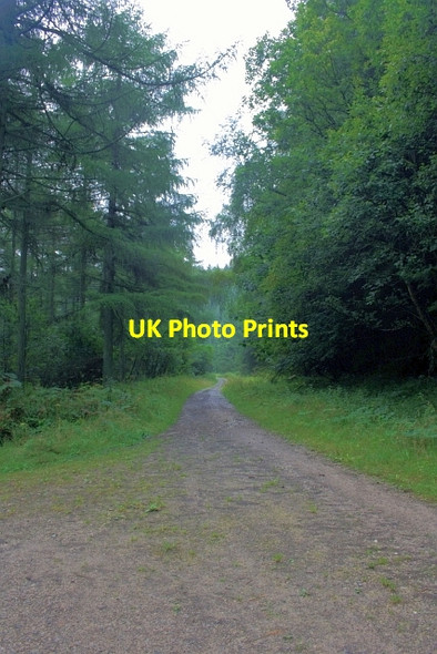 Photo 6"x4" Moor Road Troutsdale Low Hall c2012