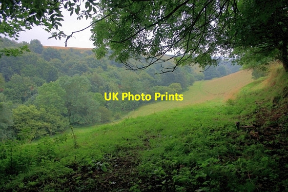 Photo 6"x4" Sawdon dale Sawdon\/SE9484 c2012