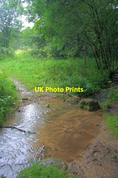Photo 6"x4" Sawdon Beck Sawdon\/SE9484 c2012