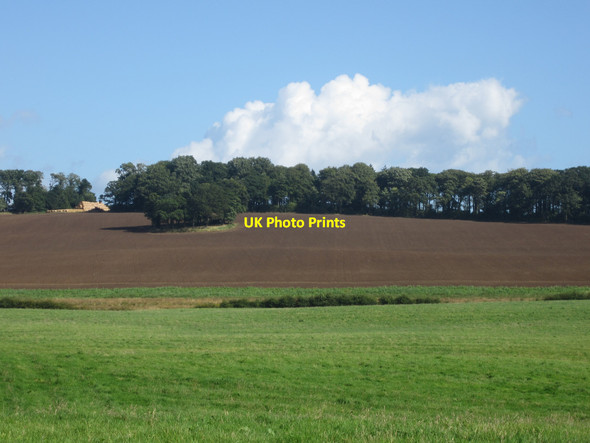 Photo 6"x4" Recently cultivated arable land near Alnwick Alnwick c2012