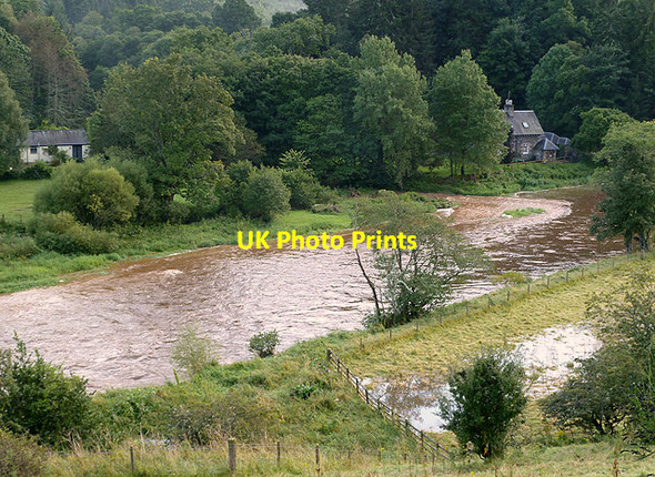 Photo 6"x4" A swollen River Tweed at Ashiestiel Peel\/NT4335 c2012