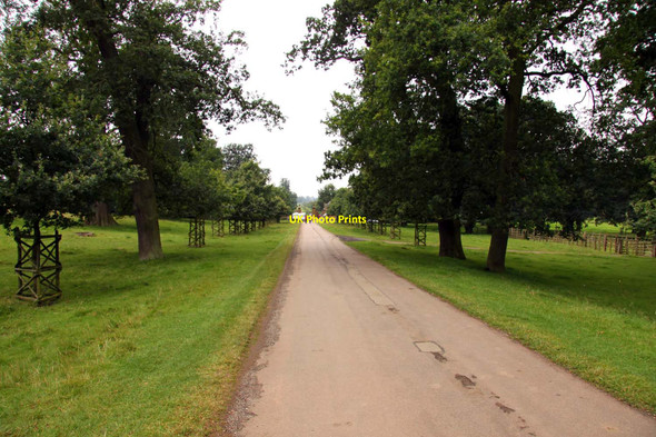 Photo 6"x4" The avenue to the gatehouse Nobottle c2012