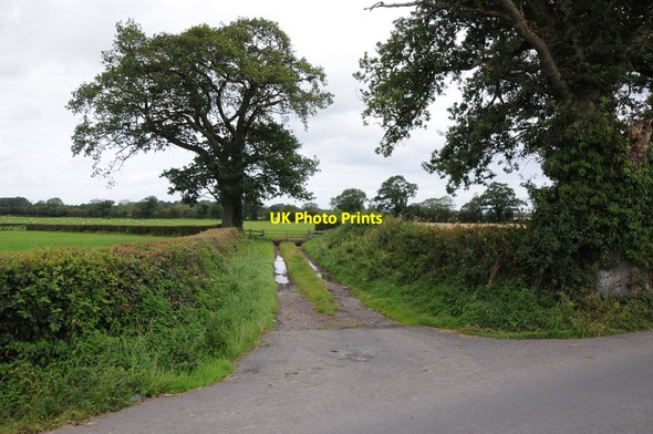 Photo 6"x4" Field entrance near Coed More Farm Allensmore c2012