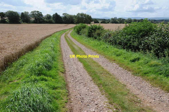 Photo 6"x4" Track through farmland Kivernoll c2012