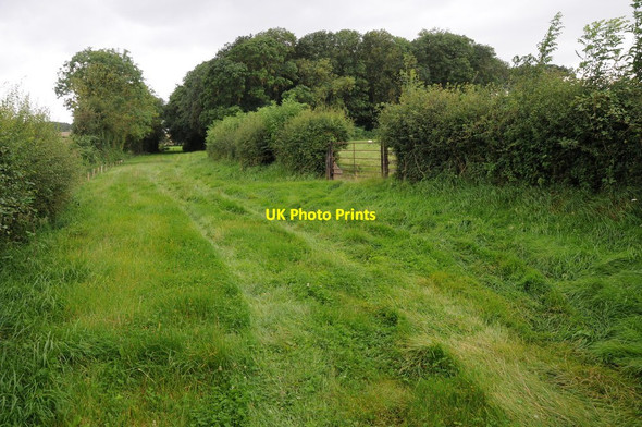 Photo 6"x4" Field beside Grafton Lane Grafton\/SO4937 c2012