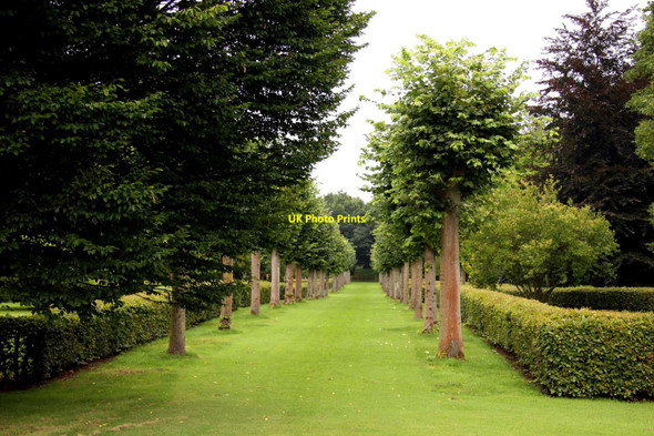 Photo 6"x4" Ornamental avenue in Althorp Park Great Brington c2012