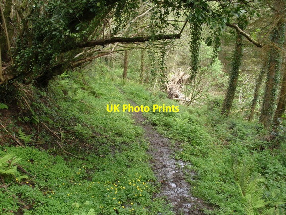 Photo 6"x4" Llwybr cyhoeddus Penboyr public footpath Penboyr c2012