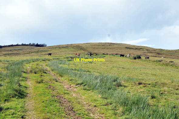 Photo 6"x4" Farmland near Saddell Glen Saddell c2012