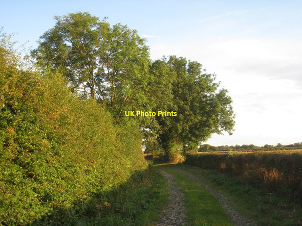 Photo 6"x4" New House Lane, Fishlake Far Bank\/SE6413 c2012