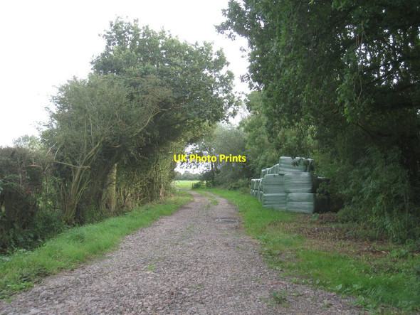 Photo 6"x4" Farm track opposite Chapel Row, Sykehouse Eskholme\/SE6317 c2012