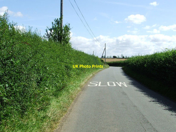 Photo 6"x4" Bradley Road East Green\/TL6853 c2012