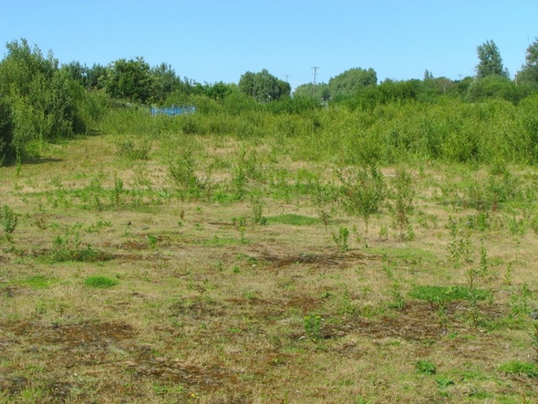 Photo 6"x4" Land near Holywood Holywood\/J3979 c2008