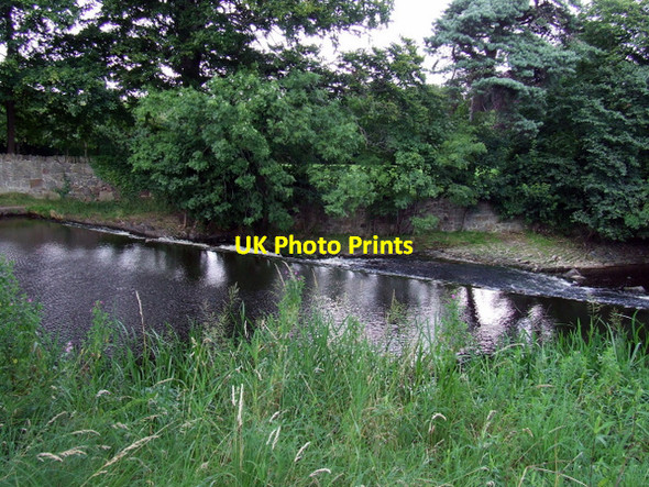 Photo 6"x4" Water of Leith Craiglockhart c2012
