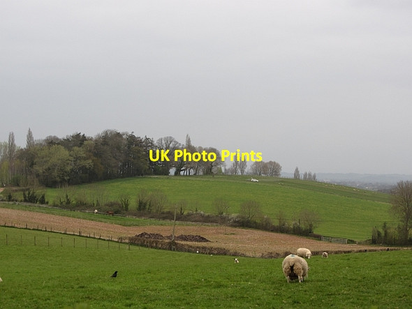 Photo 6"x4" Field, Enmore Andersfield c2012