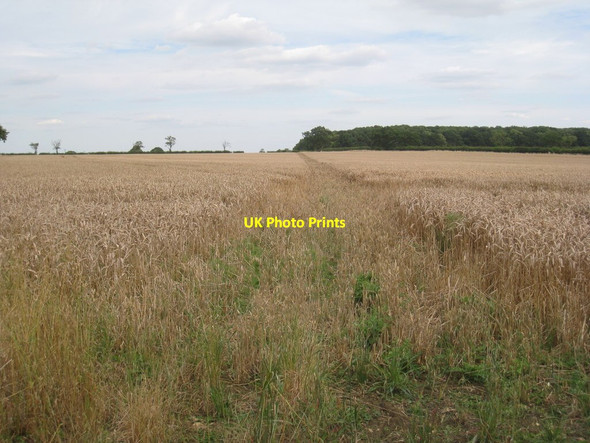 Photo 6"x4" Footpath to Pickworth Sapperton\/TF0133 c2012